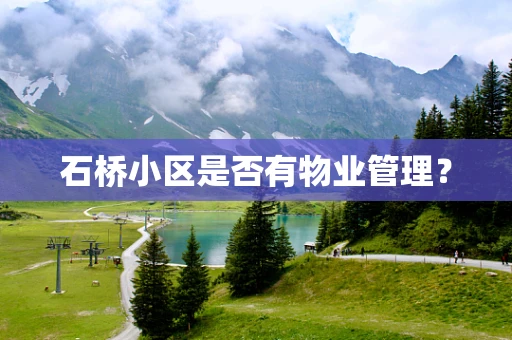 石桥小区是否有物业管理？