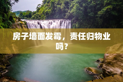 房子墙面发霉，责任归物业吗？