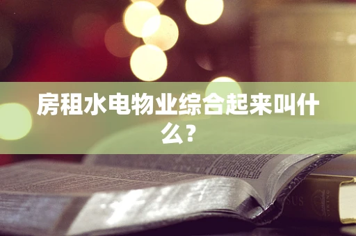 房租水电物业综合起来叫什么？