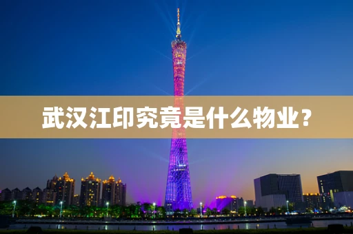 武汉江印究竟是什么物业？