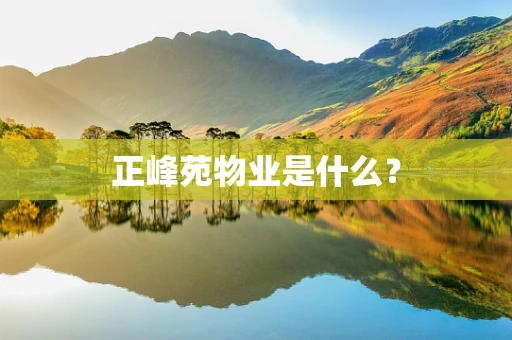 正峰苑物业是什么？