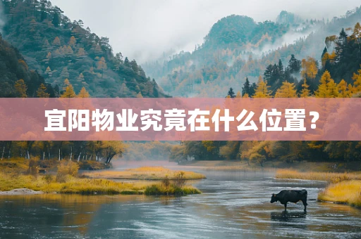 宜阳物业究竟在什么位置？