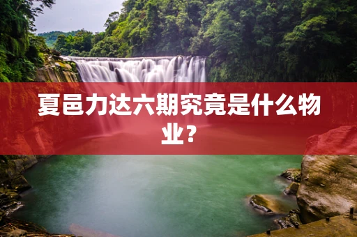夏邑力达六期究竟是什么物业？
