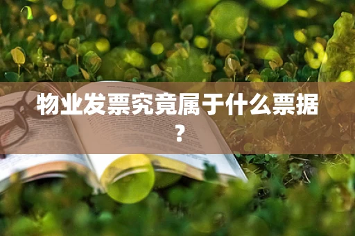物业发票究竟属于什么票据？