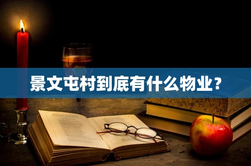 景文屯村到底有什么物业？