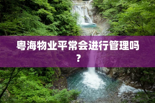 粤海物业平常会进行管理吗？
