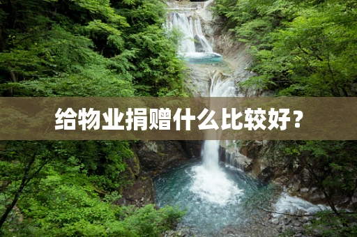 给物业捐赠什么比较好？