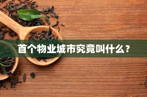 首个物业城市究竟叫什么？