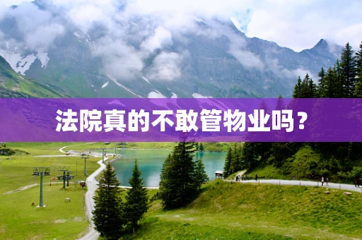 法院真的不敢管物业吗？