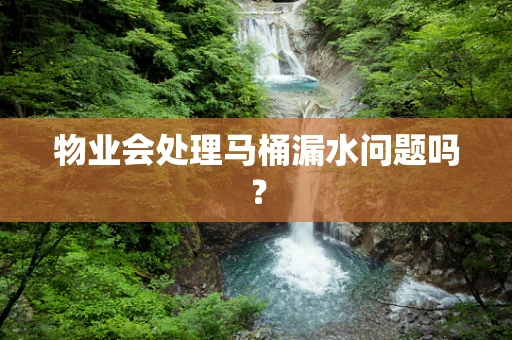 物业会处理马桶漏水问题吗？