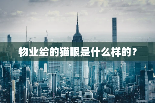 物业给的猫眼是什么样的？