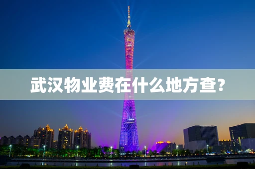 武汉物业费在什么地方查？