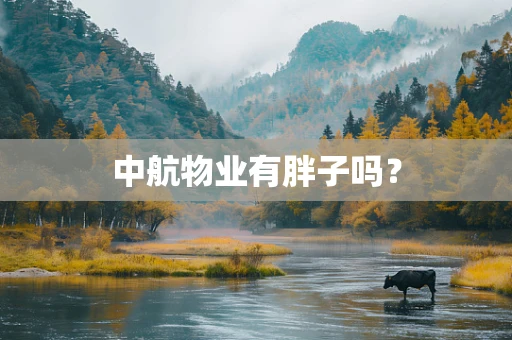 中航物业有胖子吗？