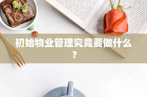 初始物业管理究竟要做什么？
