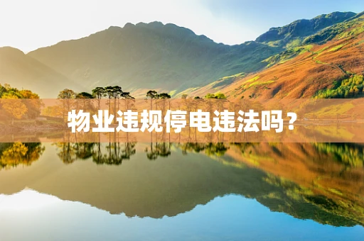 物业违规停电违法吗？