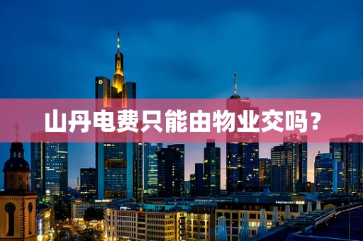 山丹电费只能由物业交吗？