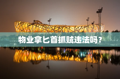 物业拿匕首抓贼违法吗？