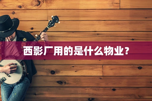 西影厂用的是什么物业？