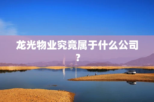龙光物业究竟属于什么公司？