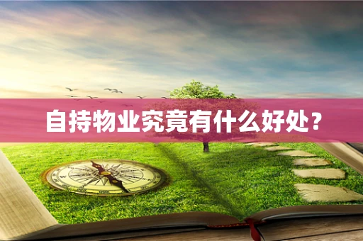 自持物业究竟有什么好处？