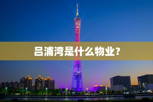 吕浦湾是什么物业？