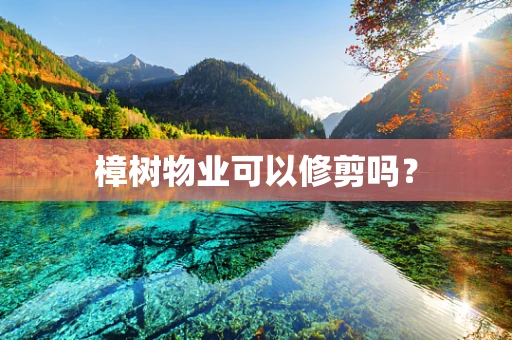 樟树物业可以修剪吗？