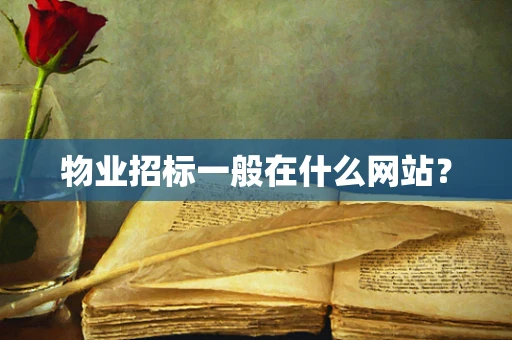 物业招标一般在什么网站？