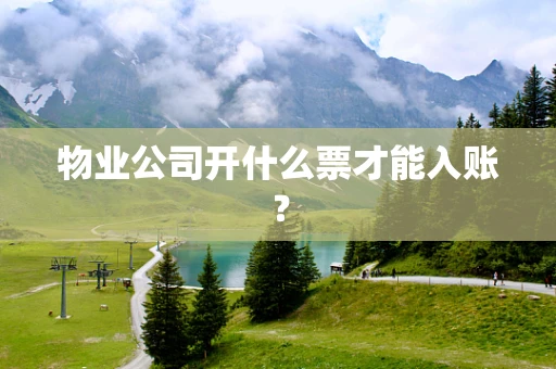 物业公司开什么票才能入账？