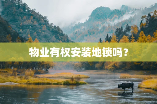 物业有权安装地锁吗？