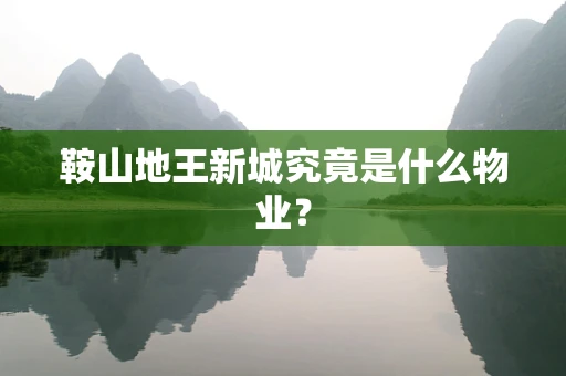 鞍山地王新城究竟是什么物业？
