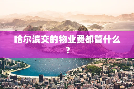哈尔滨交的物业费都管什么？
