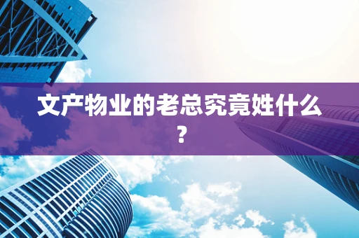 文产物业的老总究竟姓什么？