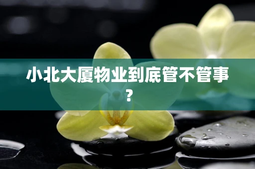 小北大厦物业到底管不管事？