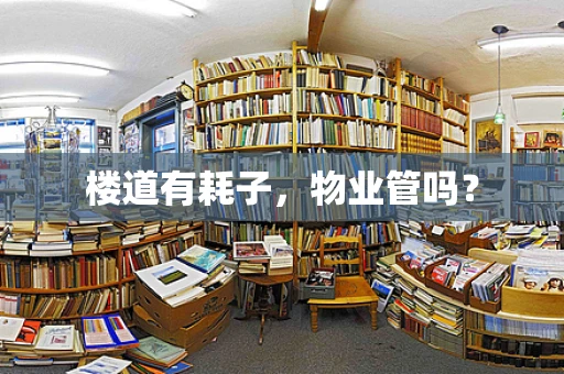 楼道有耗子，物业管吗？