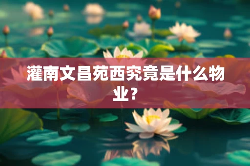 灌南文昌苑西究竟是什么物业？