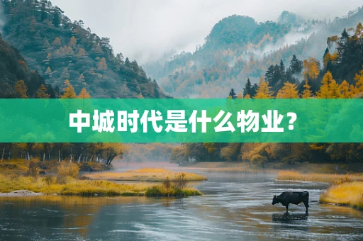 中城时代是什么物业？