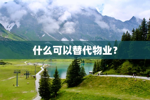 什么可以替代物业？