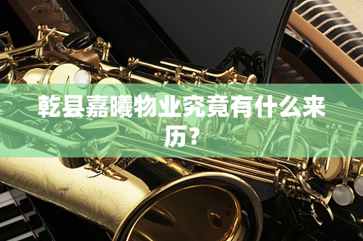 乾县嘉曦物业究竟有什么来历？
