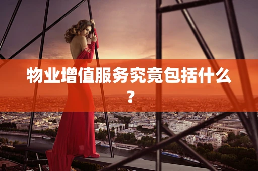 物业增值服务究竟包括什么？