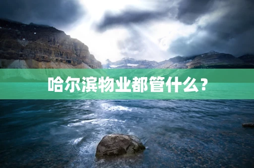 哈尔滨物业都管什么？