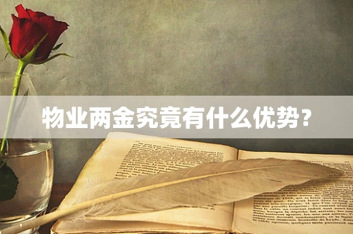 物业两金究竟有什么优势？