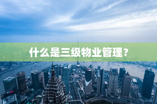 什么是三级物业管理？