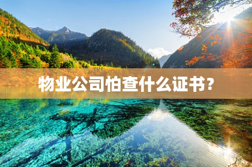 物业公司怕查什么证书？