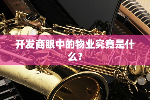 开发商眼中的物业究竟是什么？