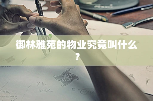 御林雅苑的物业究竟叫什么？