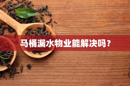马桶漏水物业能解决吗？