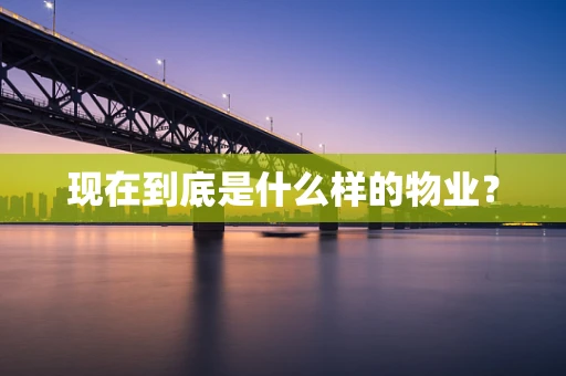 现在到底是什么样的物业？