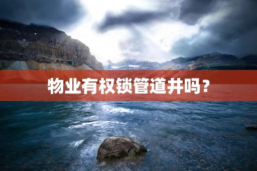 物业有权锁管道井吗？