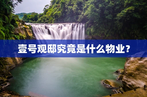 壹号观邸究竟是什么物业？