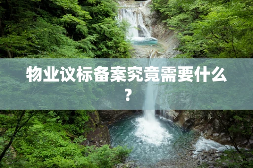 物业议标备案究竟需要什么？